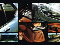 Black Brochure Page 14